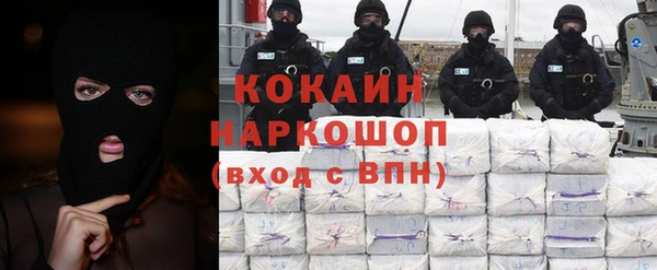 сатива Покачи