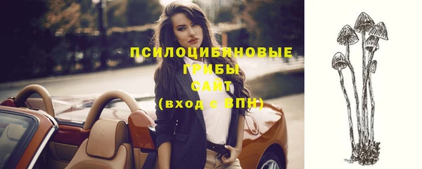 кокс Баксан