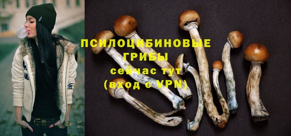 кокс Баксан