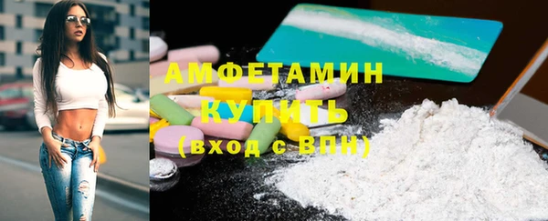 сатива Покачи