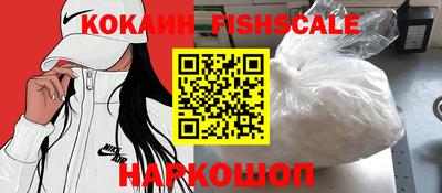 СК Кингисепп