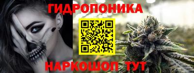 СК Кингисепп