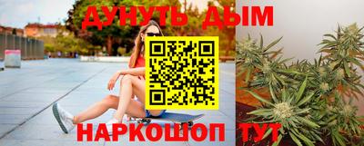 СК Кингисепп