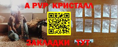 СК Кингисепп