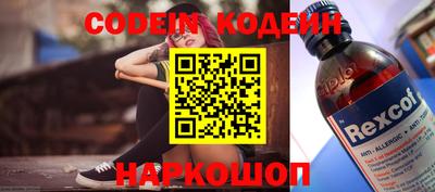 СК Кингисепп