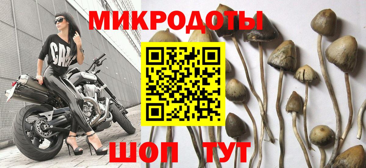Псилоцибиновые грибы MAGIC MUSHROOMS Соль-Илецк
