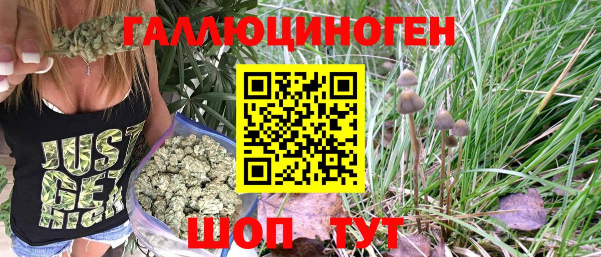 Галлюциногенные грибы MAGIC MUSHROOMS  Галлюциногенные грибы мицелий  Вход с VPN  Соль-Илецк 